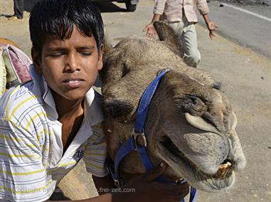 05 Fort_Amber-Jaipur_DSC5170_b_H600